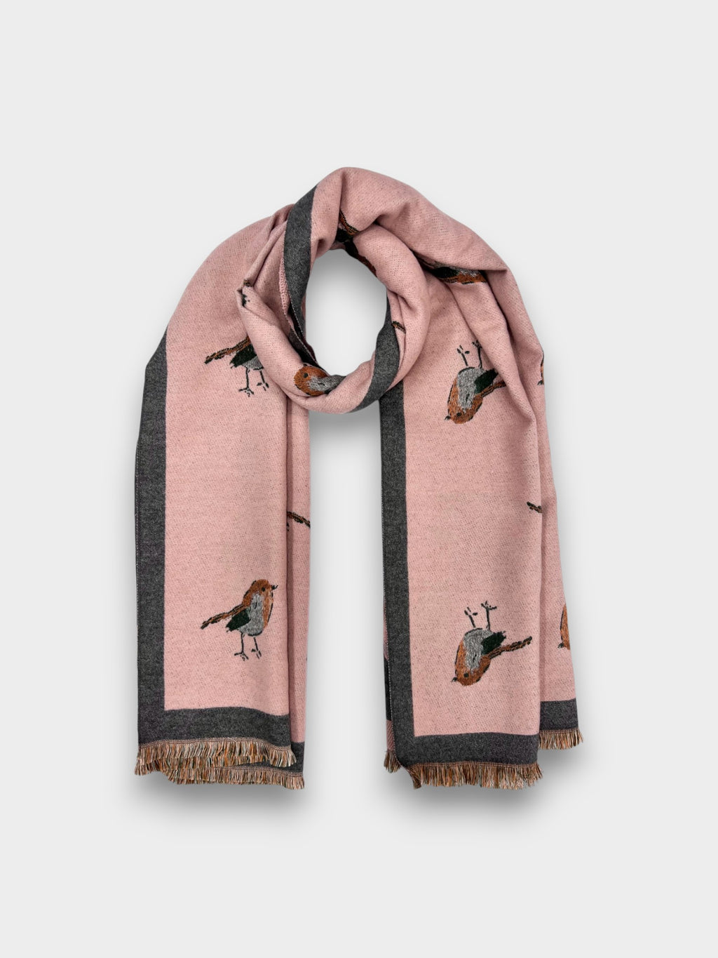 Robin Embroidered Print Winter Scarf on Reversible Cashmere Blend