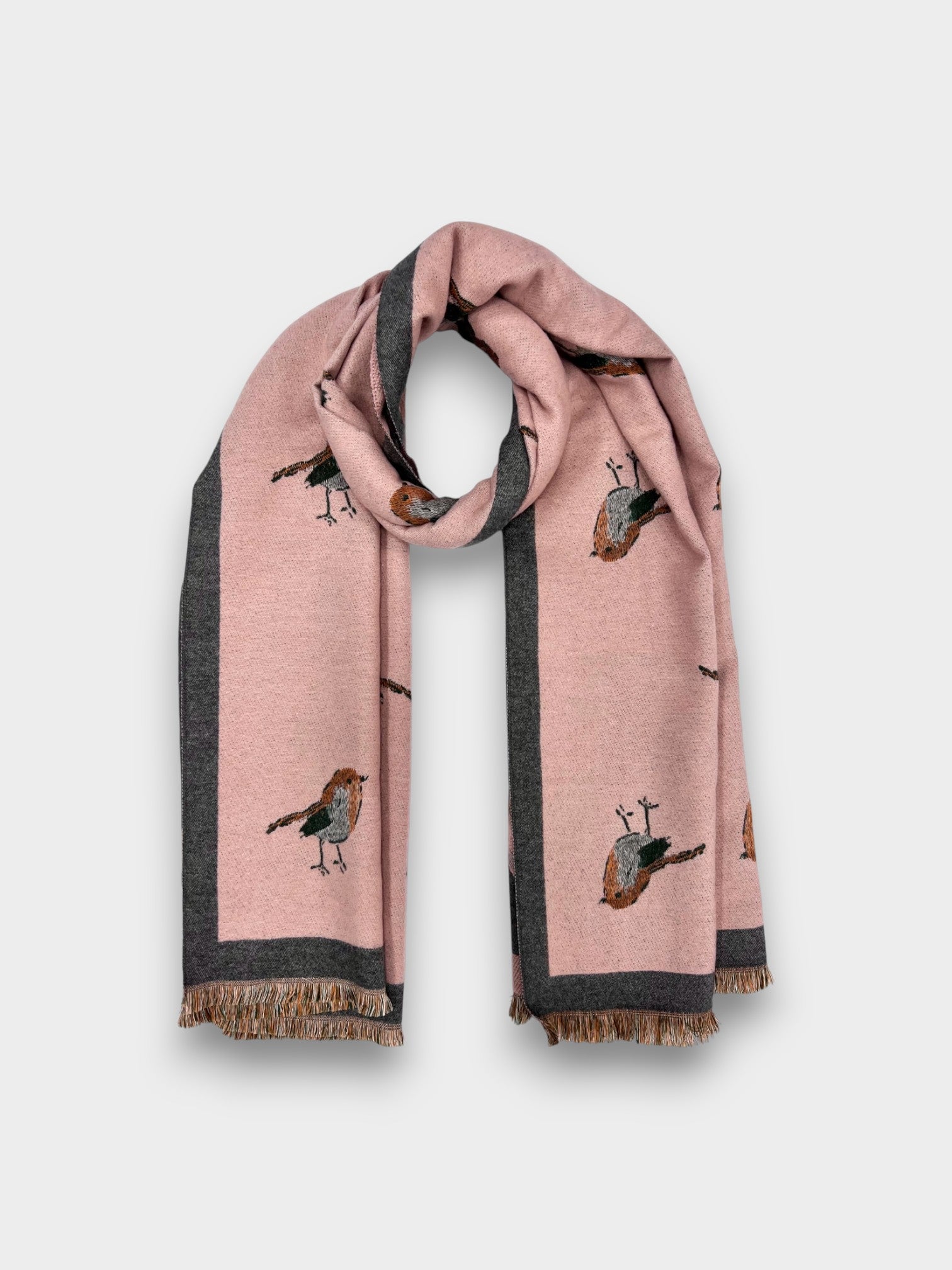 Robin Embroidered Print Winter Scarf on Reversible Cashmere Blend