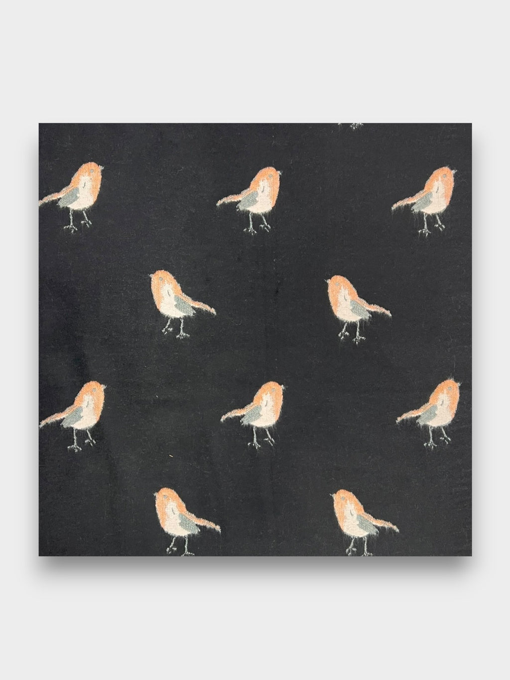 Robin Embroidered Print Winter Scarf on Reversible Cashmere Blend