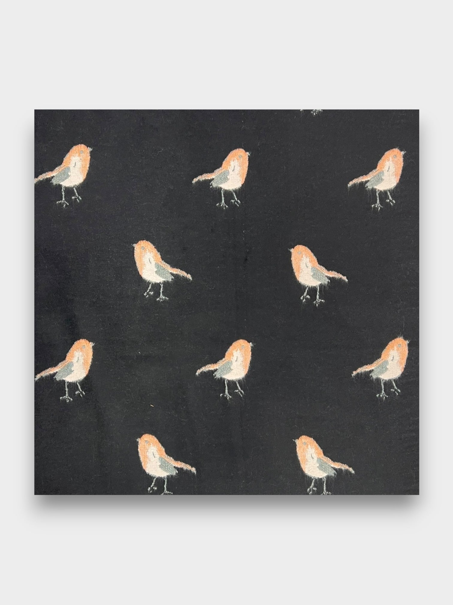 Robin Embroidered Print Winter Scarf on Reversible Cashmere Blend