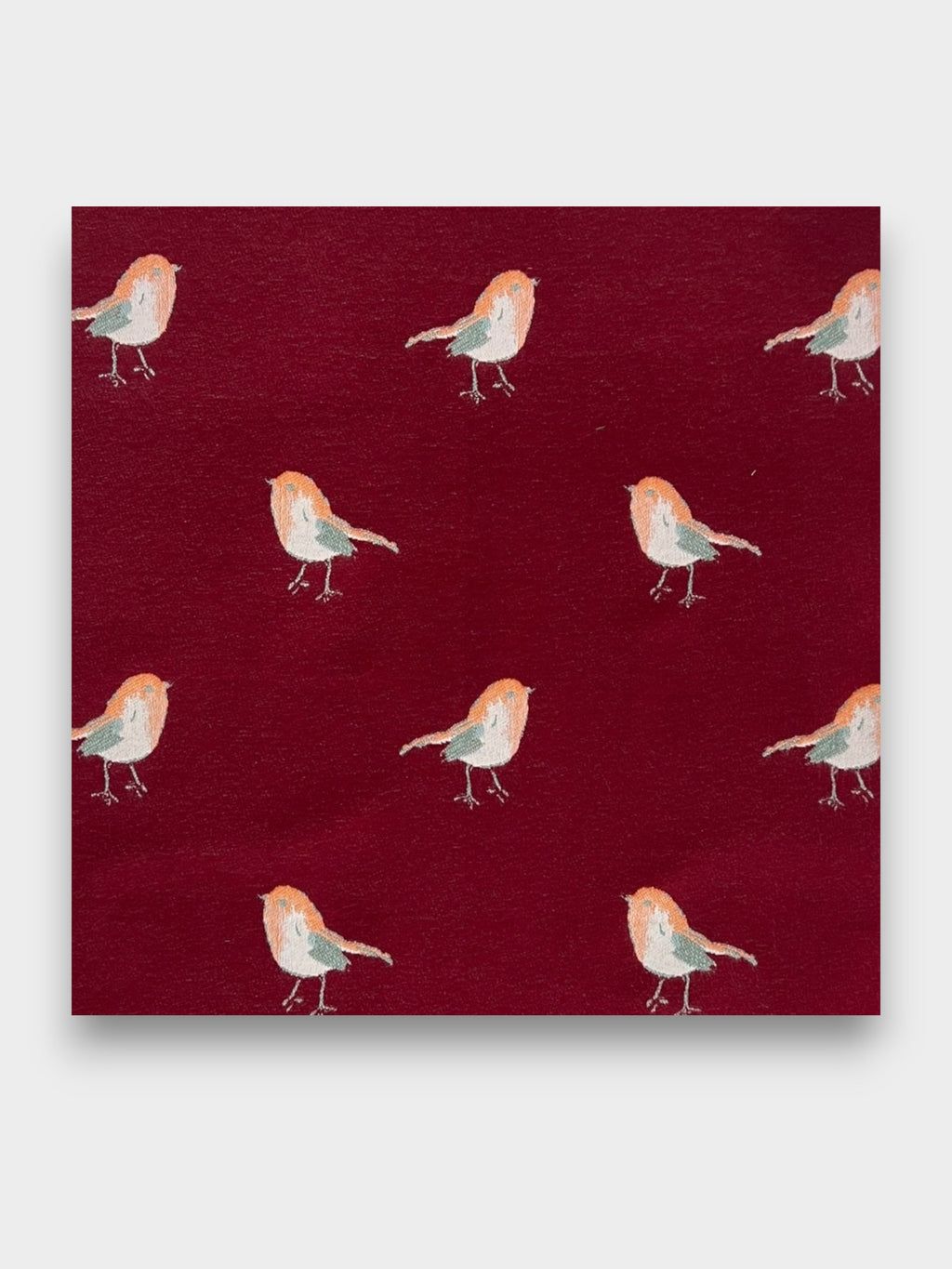 Robin Embroidered Print Winter Scarf on Reversible Cashmere Blend