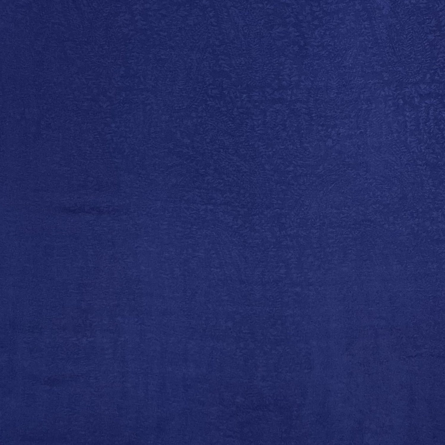 Pashmina Paisley Print Finished with Tassels - Navy