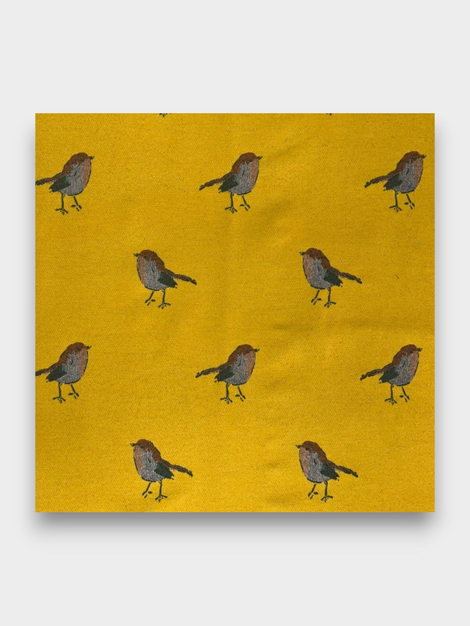 Robin Embroidered Print Winter Scarf on Reversible Cashmere Blend