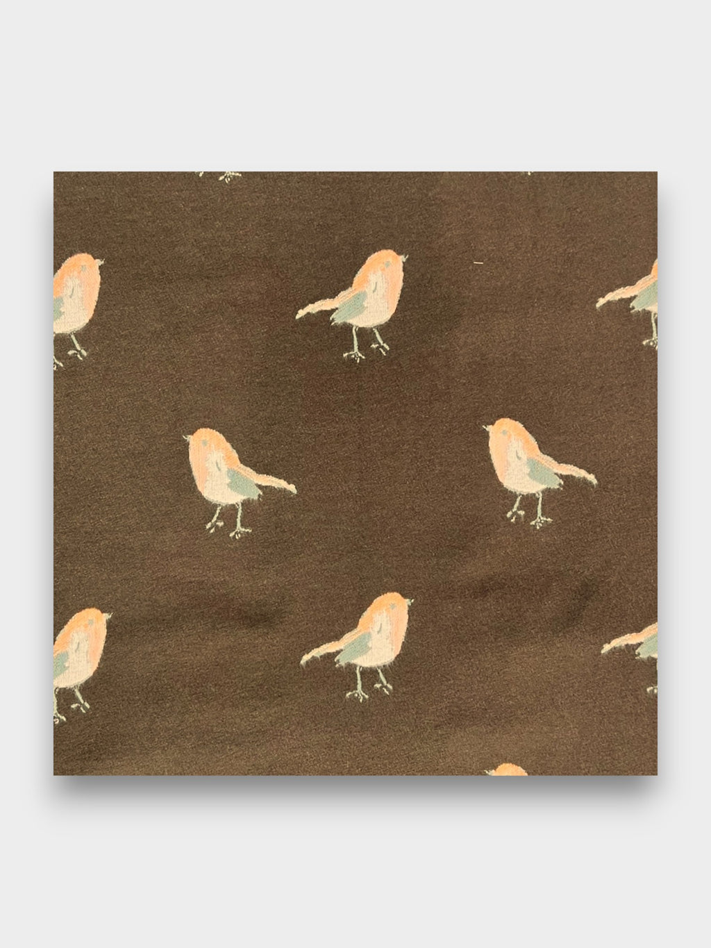 Robin Embroidered Print Winter Scarf on Reversible Cashmere Blend