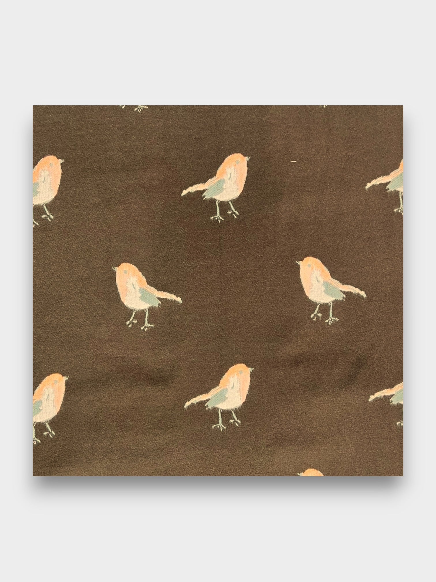 Robin Embroidered Print Winter Scarf on Reversible Cashmere Blend